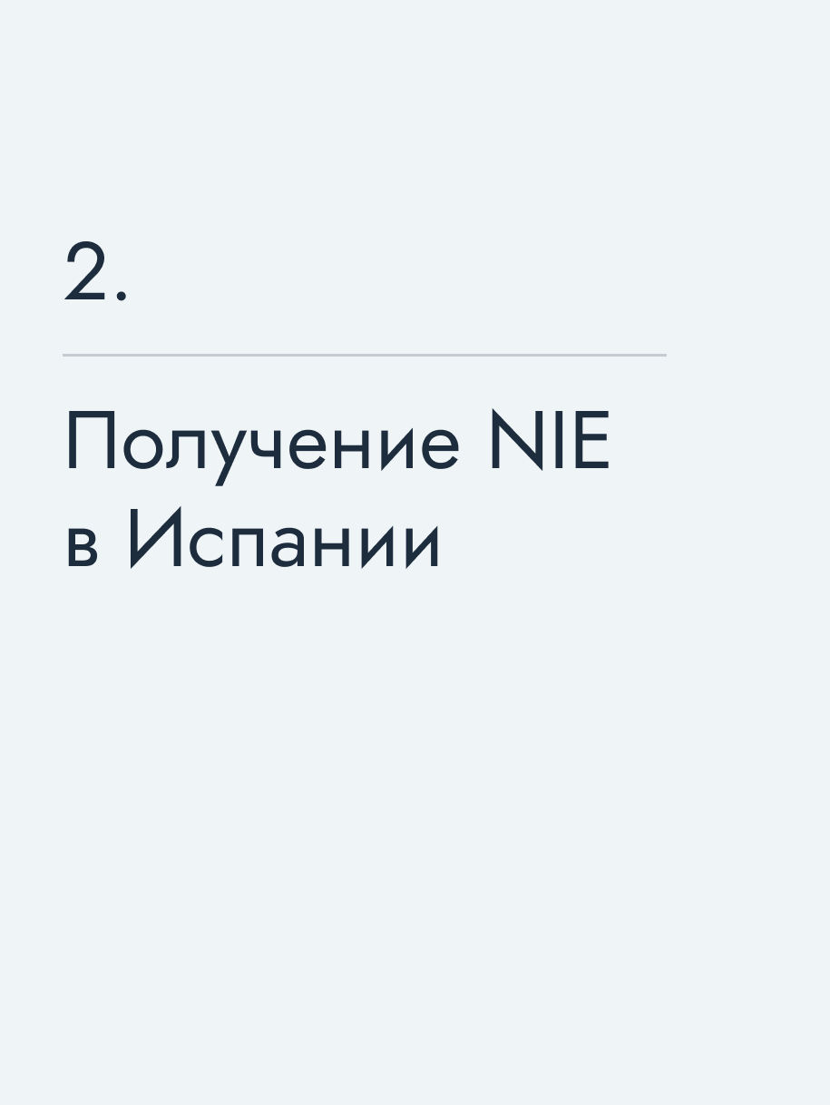 Получение NIE в Испании