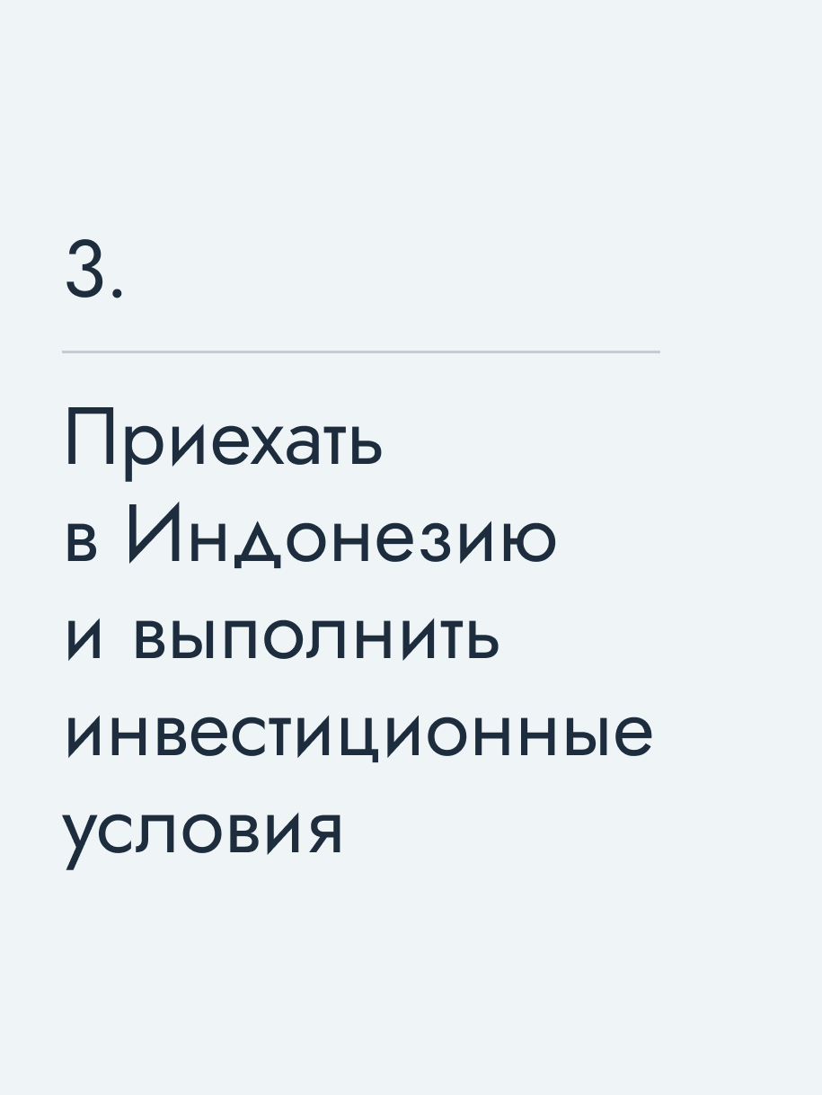 Приехать в Индонезию и выполнить инвестиционные условия