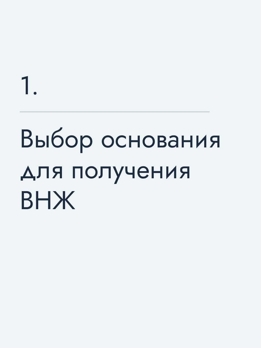 Выбор основания для получения ВНЖ