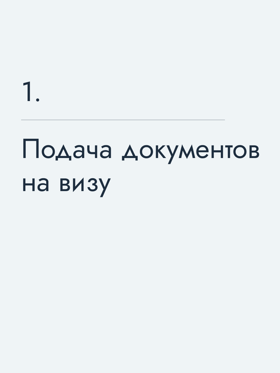 Подача документов на визу