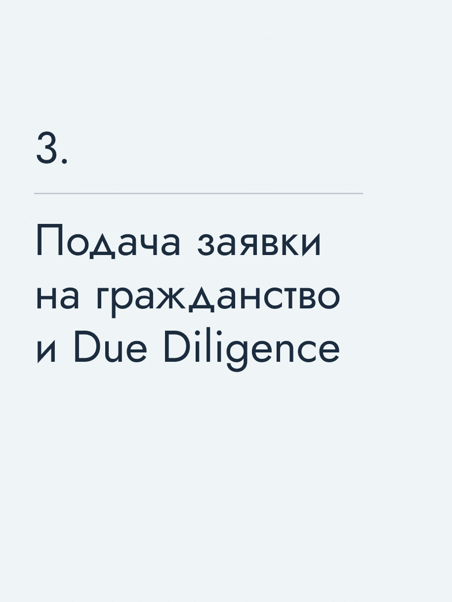 Подача заявки на гражданство и Due Diligence