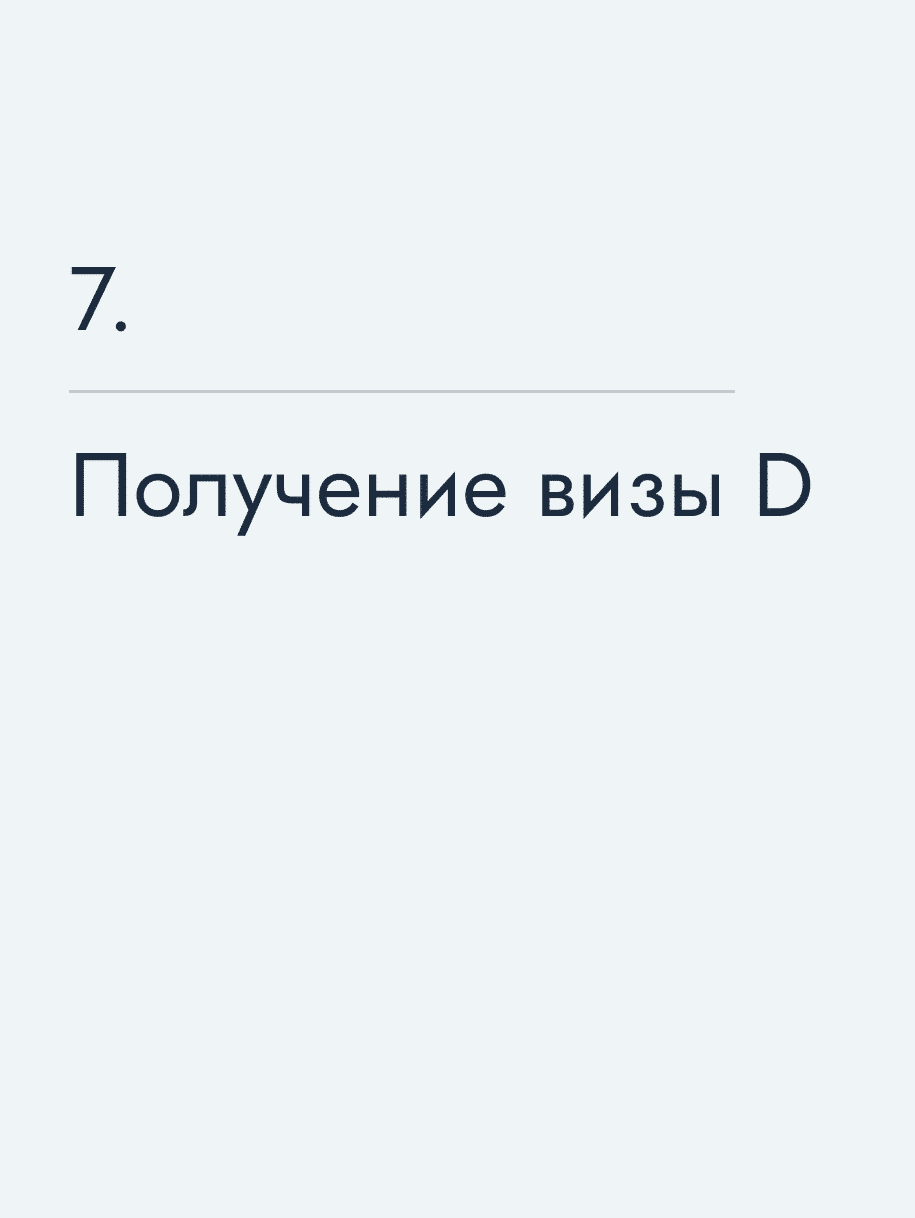 Получение визы D