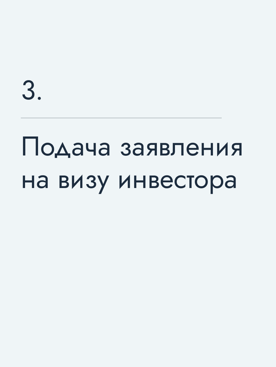 Подача заявления на визу инвестора