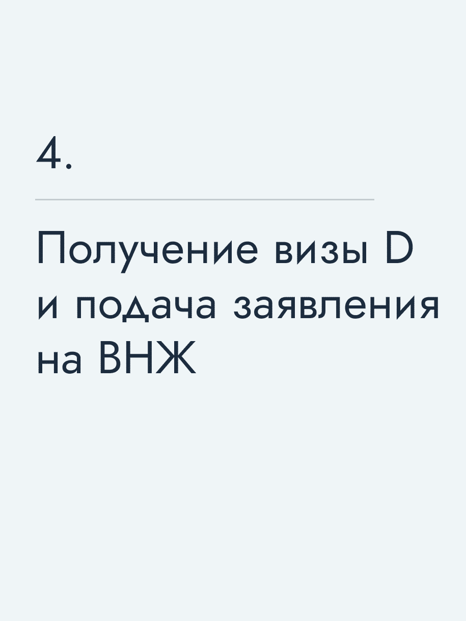 Получение визы D и подача заявления на ВНЖ